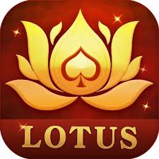 teen patti gelli download